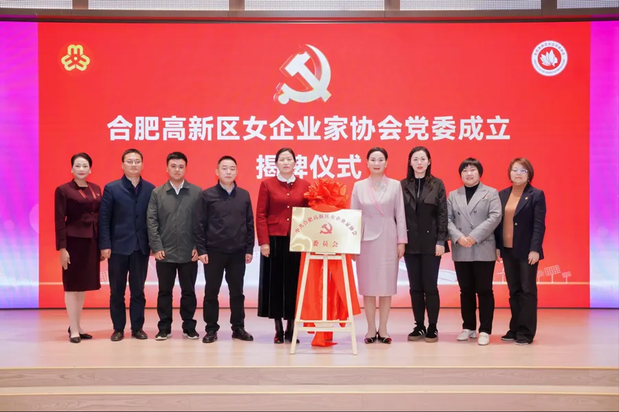 功能型党委.png